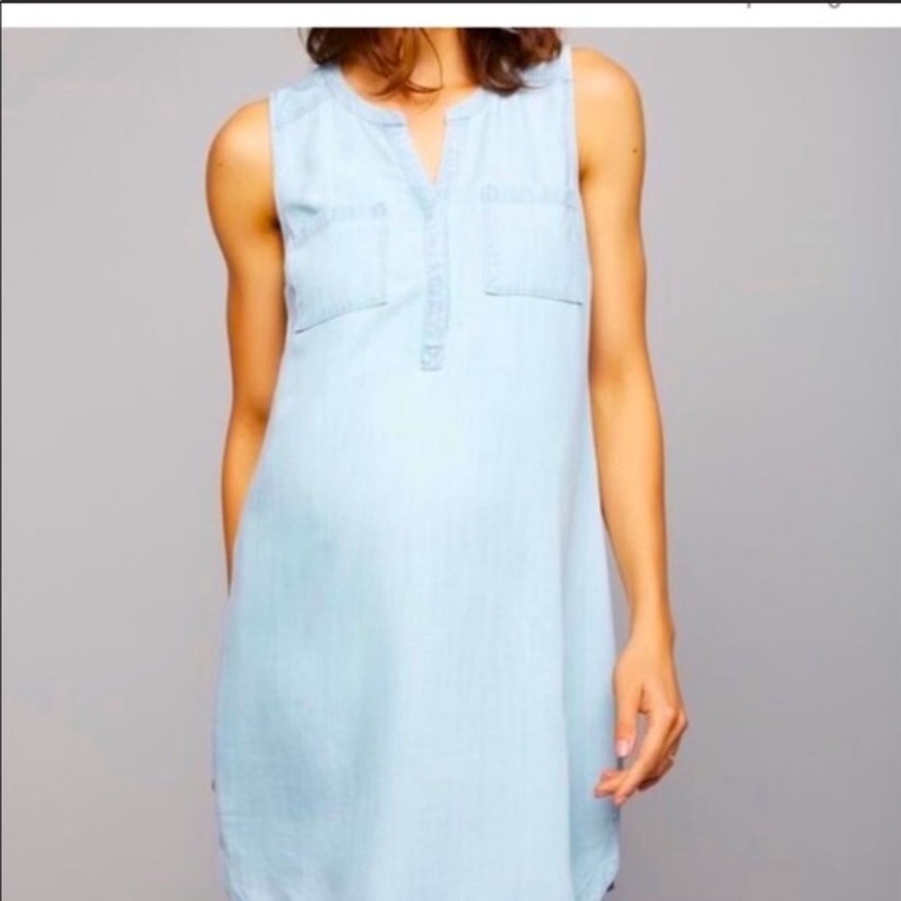 A Pea in the Pod Maternity Denim Dress - NWT!